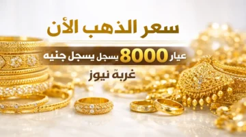 قفزة في سعر الذهب عيار 24 تسجل 8000 جنيه أول أيام العيد